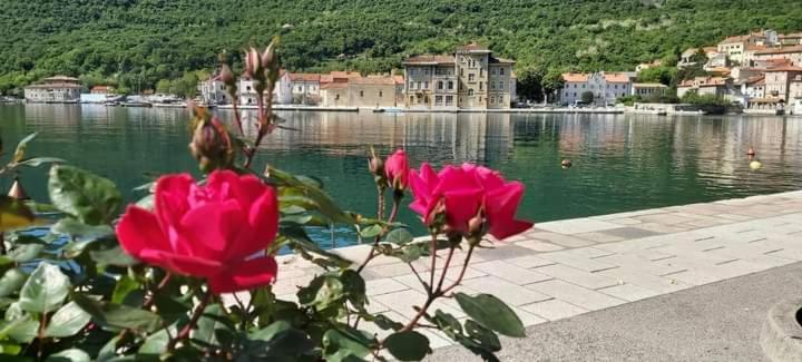 Apartmani Petar I Luka Bakar Exterior photo